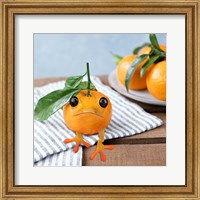 Framed Frogorange