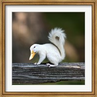 Framed Duckbilled Squirrel