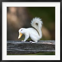 Framed Duckbilled Squirrel