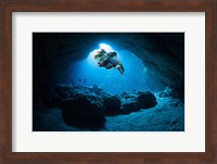 Framed Hummingbirdfish