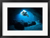Framed Hummingbirdfish