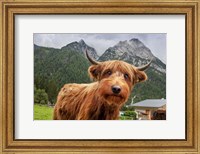 Framed Cowpup 2