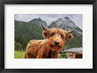 Framed Cowpup 2