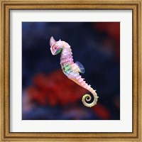Framed Seameleon