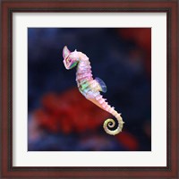 Framed Seameleon