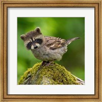 Framed Otterduck 2