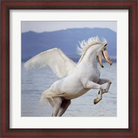 Framed Shoebill Horse