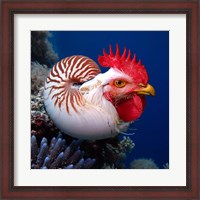 Framed Chicken of the Sea