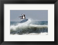 Framed Cowpup Surfing