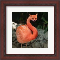 Framed Foxmingo