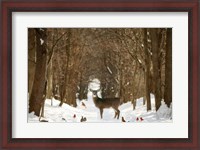Framed Forest of Snow White