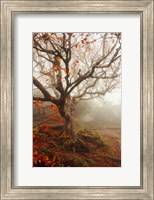 Framed Tree of Seasons