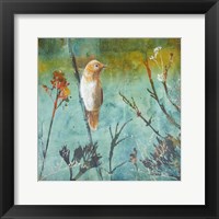 Framed Australian Reed Warbler