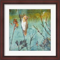 Framed Australian Reed Warbler