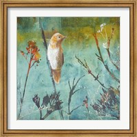 Framed Australian Reed Warbler