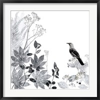 Framed Thoughtful Wattlebird