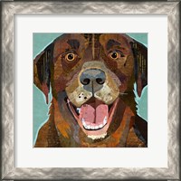 Framed Chocolate Lab