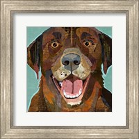 Framed Chocolate Lab