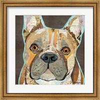 Framed French Bulldog