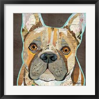 Framed French Bulldog