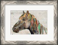 Framed Wild Horse