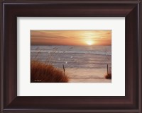 Framed Beach Glory