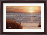 Framed Beach Glory