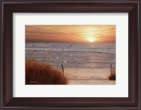 Framed Beach Glory