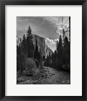 Framed Yosemite II