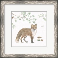 Framed 'Woodland Love II' border=