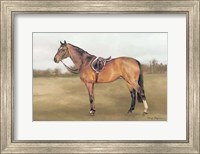 Framed French Trotter Light