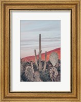 Framed Sunsets and Saguaros II