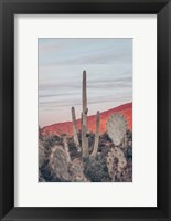 Framed Sunsets and Saguaros II