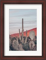 Framed Sunsets and Saguaros II