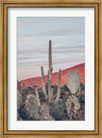 Framed Sunsets and Saguaros II