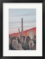 Framed Sunsets and Saguaros II