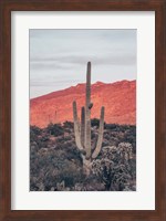 Framed Sunsets and Saguaros I