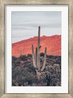 Framed Sunsets and Saguaros I