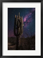 Framed Desert Nights