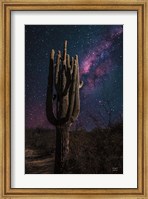 Framed Desert Nights