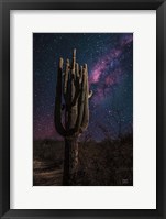Framed Desert Nights
