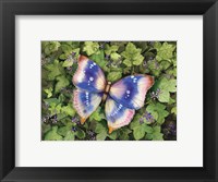 Framed Garden Butterfly
