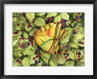 Framed Bountiful Butterfly