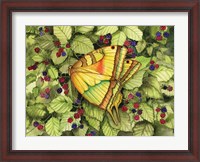 Framed Bountiful Butterfly