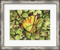 Framed Bountiful Butterfly