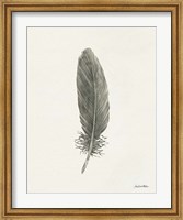 Framed Springtime Feather II