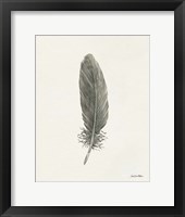 Springtime Feather II Framed Print