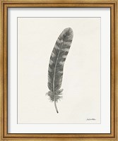Framed Springtime Feather I