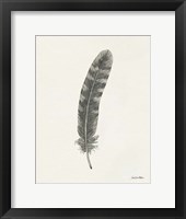 Springtime Feather I Framed Print
