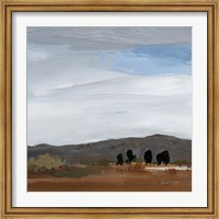 Framed Alamosa